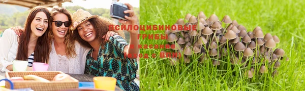 бошки Алексеевка