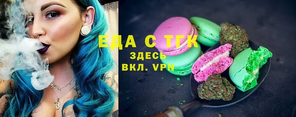 индика Алзамай